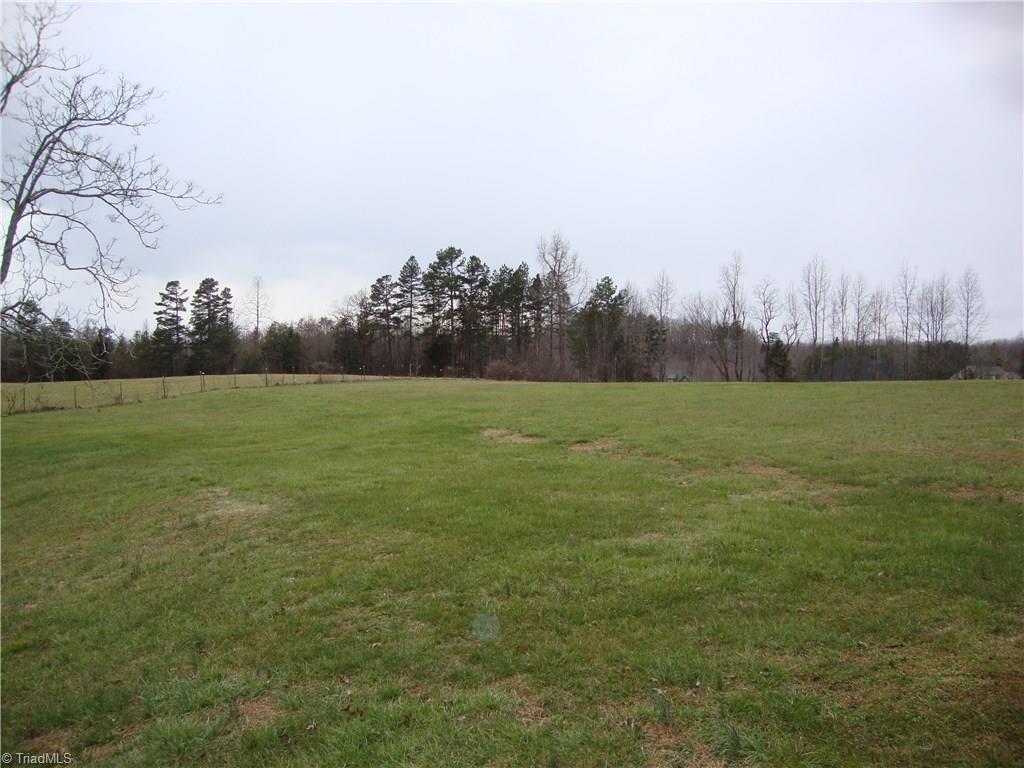 6550 Hunt Road Pleasant Garden, NC 27313 - Photo 3 of 26 Pasture