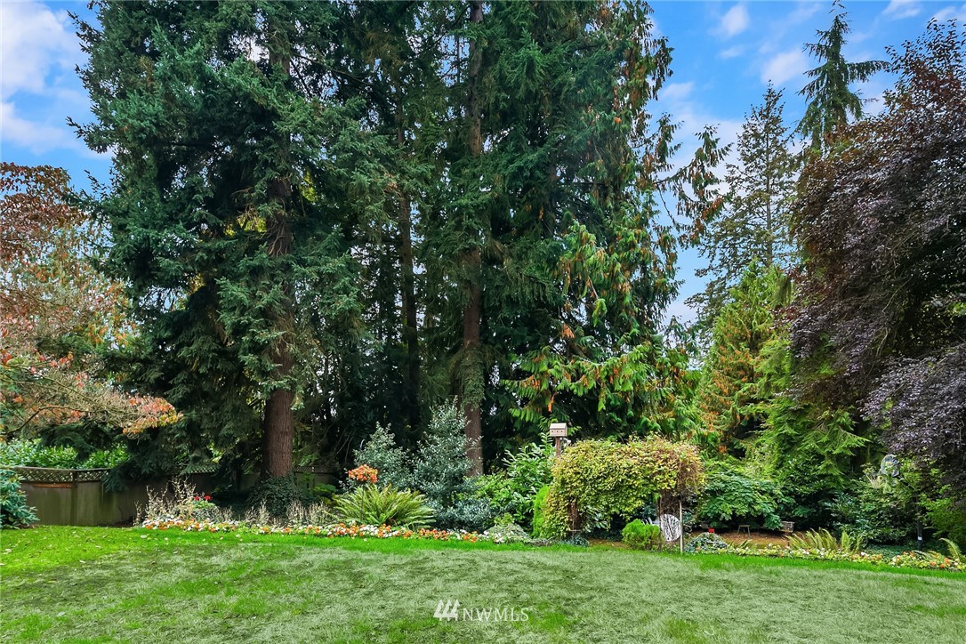 24022 7th Avenue West Bothell, WA 98021 - Photo 23 of 26 a view of a yard with a tree