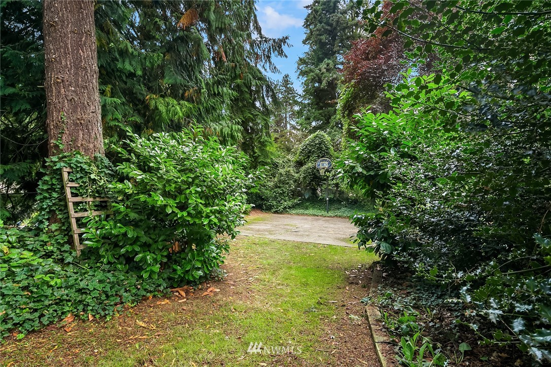 24022 7th Avenue West Bothell, WA 98021 - Photo 26 of 26 a lush green forest with lots of trees