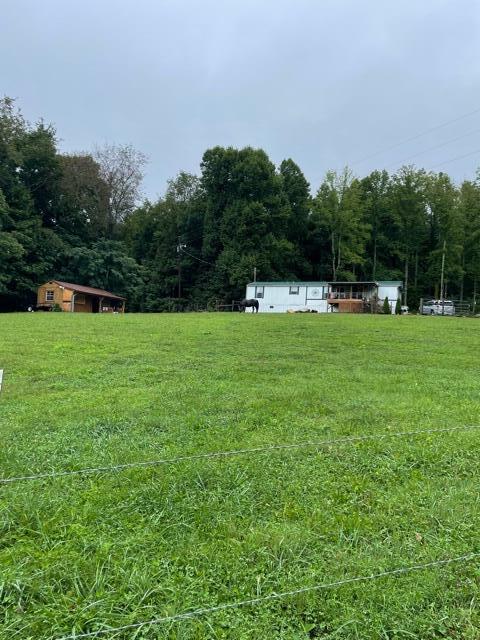 505 Huel Hoyle Road Flag Pond, TN 37657 - Photo 39 of 44 IMG_0209