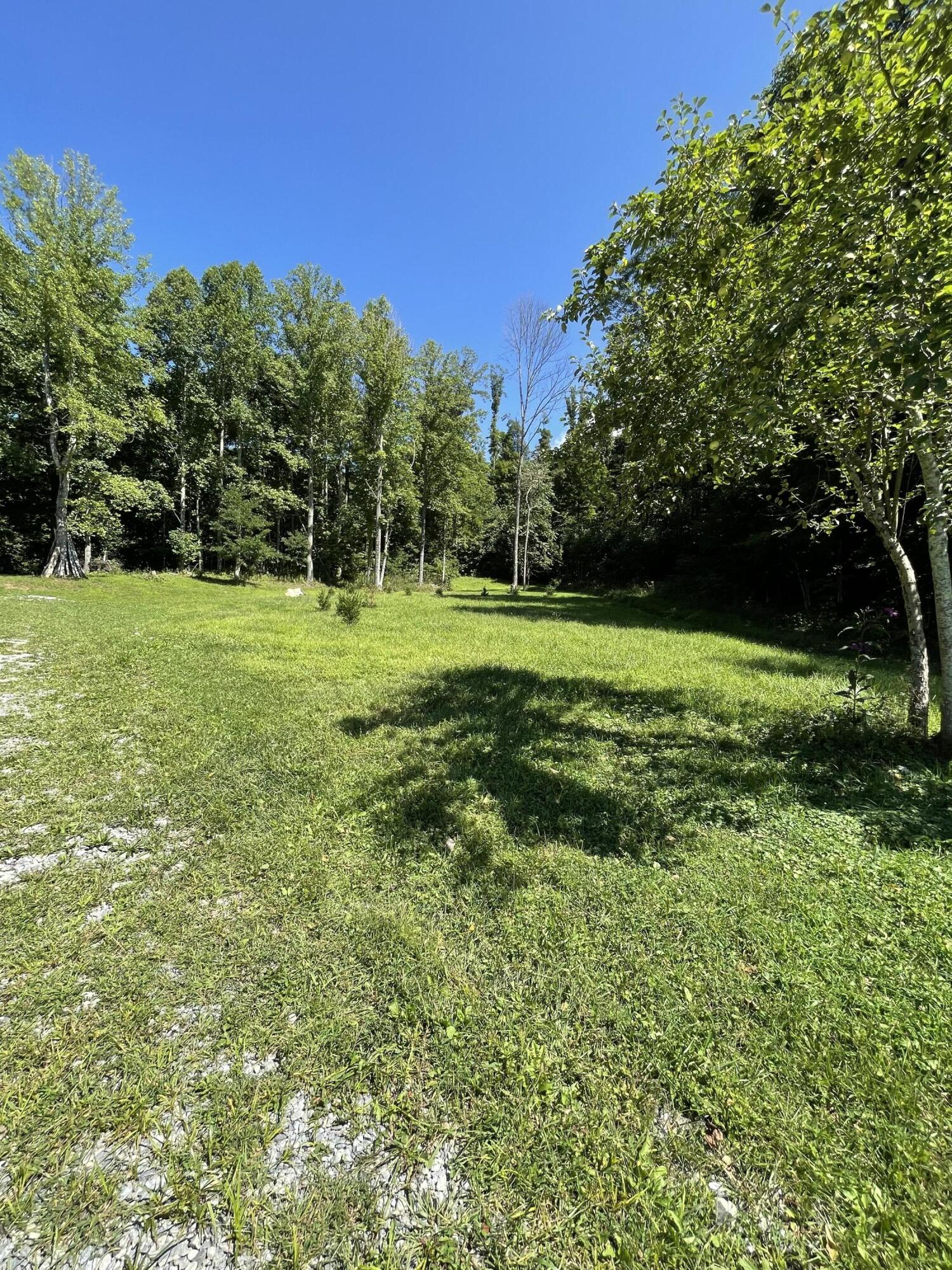 505 Huel Hoyle Road Flag Pond, TN 37657 - Photo 42 of 44 IMG_0239