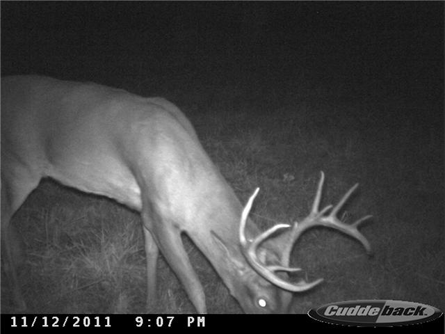 1 Tobaccoport Road Bumpus Mills, TN 37028 - Photo 1 of 12 Gallery Image 1