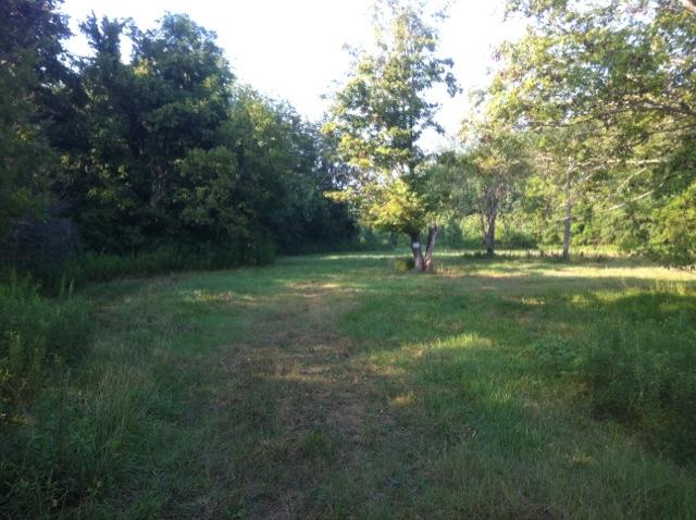 1 Tobaccoport Road Bumpus Mills, TN 37028 - Photo 2 of 12 Gallery Image 2