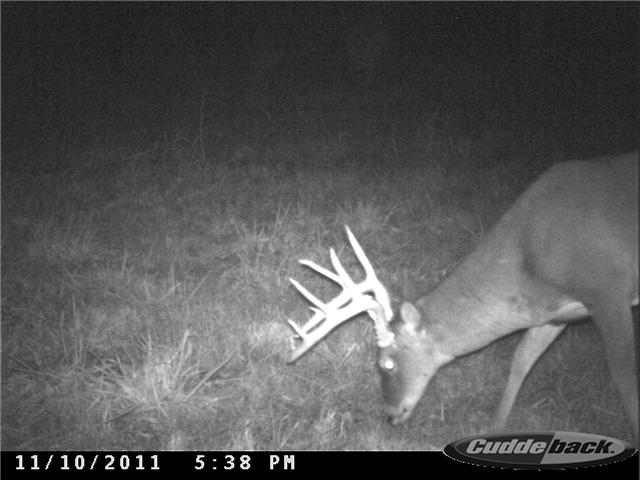 1 Tobaccoport Road Bumpus Mills, TN 37028 - Photo 11 of 12 Gallery Image 11