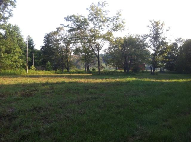 1 Tobaccoport Road Bumpus Mills, TN 37028 - Photo 3 of 12 Gallery Image 3