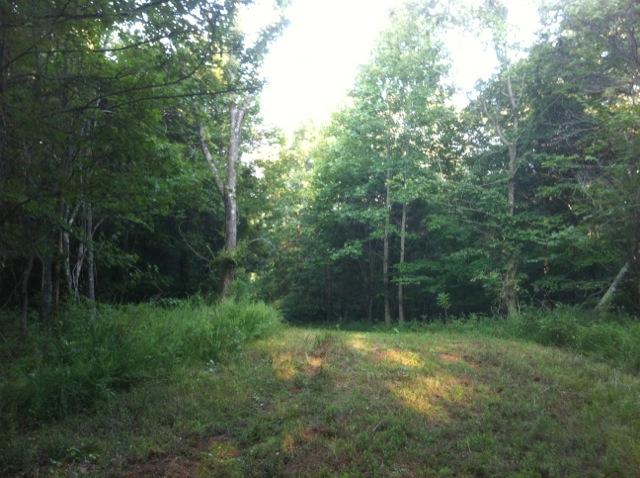 1 Tobaccoport Road Bumpus Mills, TN 37028 - Photo 4 of 12 Gallery Image 4