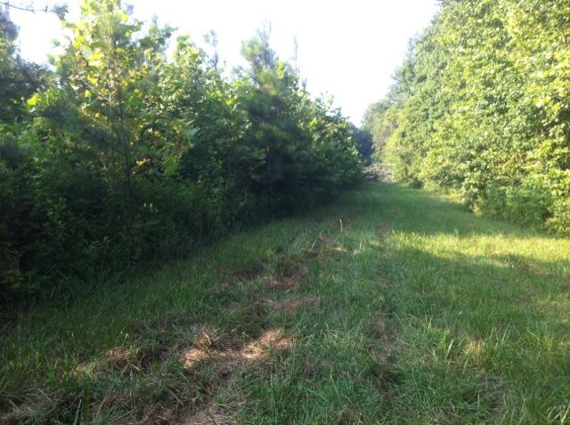 1 Tobaccoport Road Bumpus Mills, TN 37028 - Photo 5 of 12 Gallery Image 5
