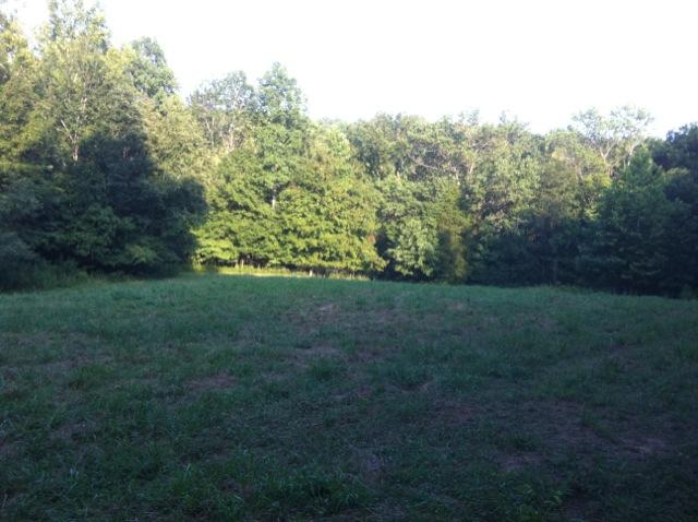 1 Tobaccoport Road Bumpus Mills, TN 37028 - Photo 6 of 12 Gallery Image 6