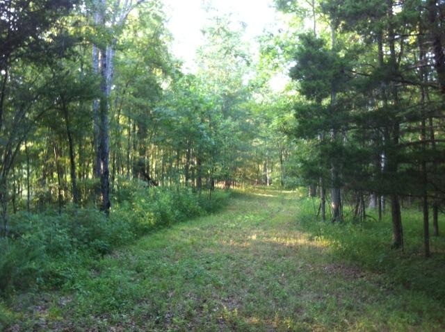 1 Tobaccoport Road Bumpus Mills, TN 37028 - Photo 8 of 12 Gallery Image 8