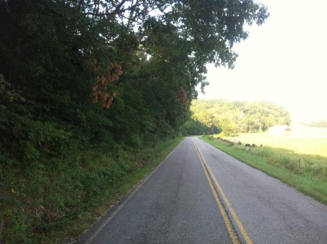 1 Tobaccoport Road Bumpus Mills, TN 37028 - Photo 9 of 12 Gallery Image 9