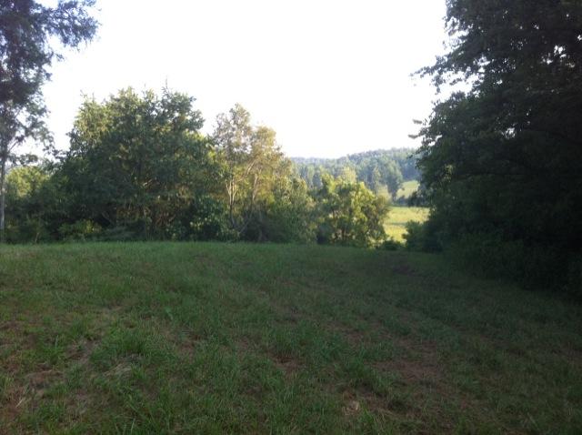 1 Tobaccoport Road Bumpus Mills, TN 37028 - Photo 10 of 12 Gallery Image 10