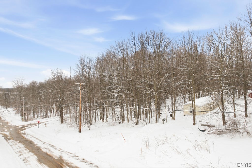 7 Cow Path Road Granby, NY 13069 - Photo 2 of 11