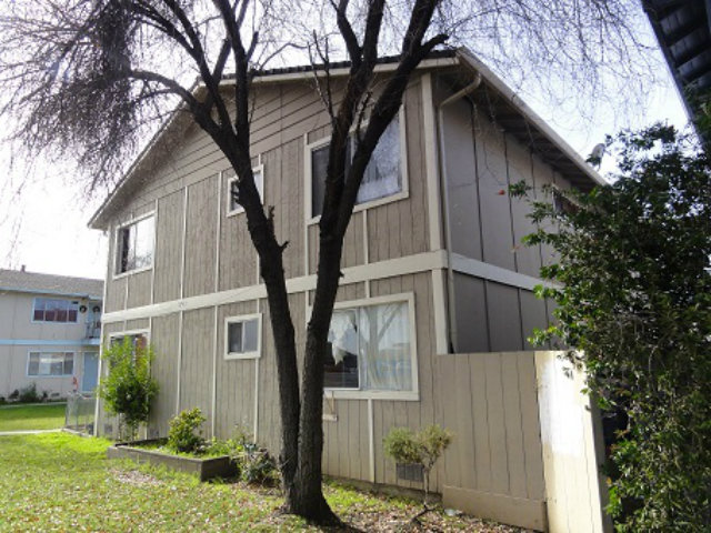 a house that has a tree in front of the house