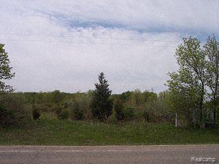 V/l West River Road Flushing, MI 48433 - Photo 1 of 1 ExteriorRiverRd