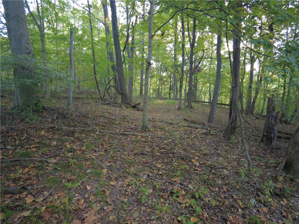 1147 Richey Road Felicity, OH 45120 - Photo 21 of 26 A tranquil wooded lot, offering privacy and natural beauty, awaits your vision.