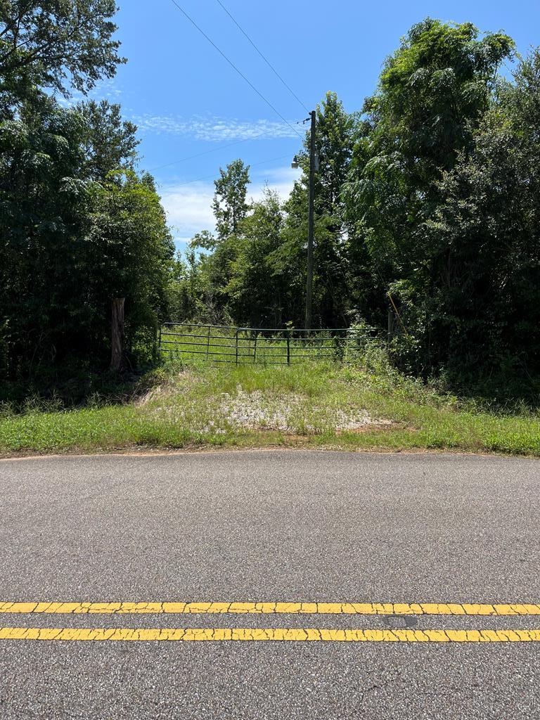 0 State Line Road Cottonwood, AL 36320 - Photo 2 of 12