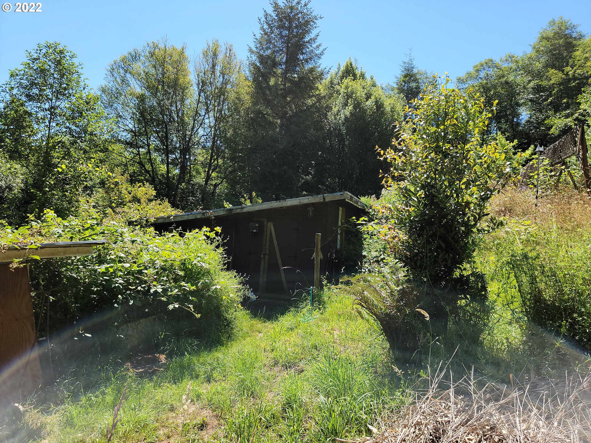 62650 Fairview Road Coquille, OR 97423 - Photo 12 of 12 Gallery Image 12