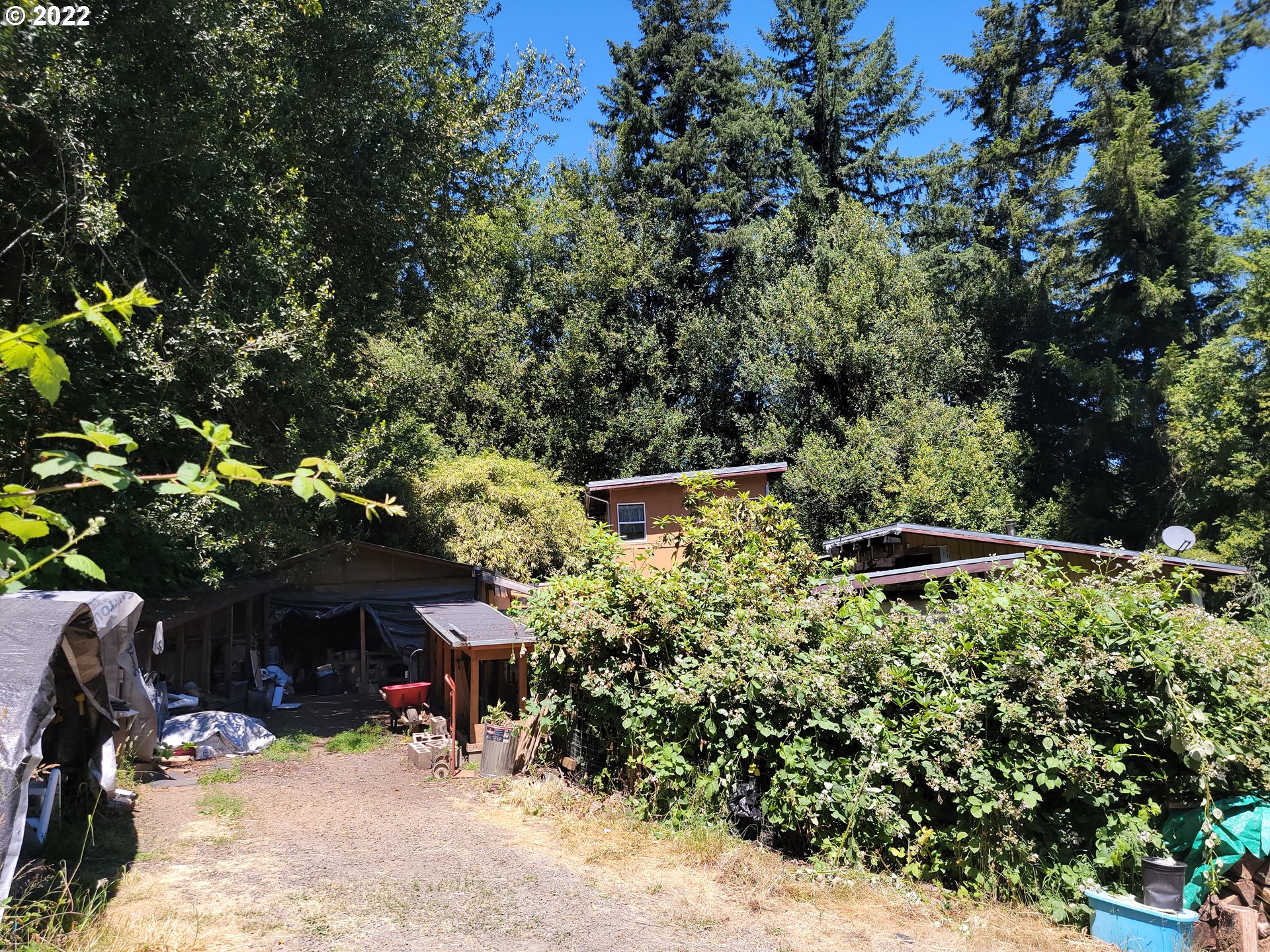 62650 Fairview Road Coquille, OR 97423 - Photo 4 of 12 Gallery Image 4