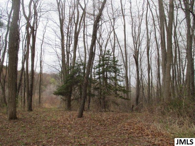 1620 Fox Jackson, MI 49201 - Photo 3 of 4 Photo 3