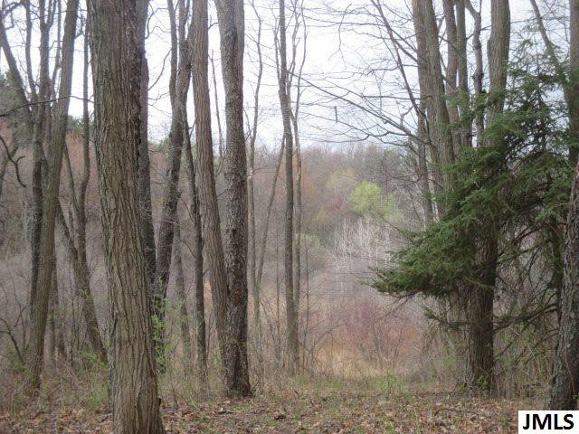1620 Fox Jackson, MI 49201 - Photo 4 of 4 Photo 4