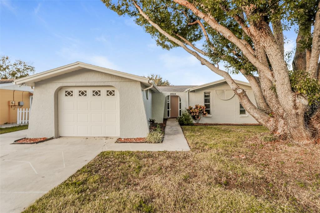 5643 Elena Drive Holiday, FL 34690 - Photo 1 of 1 a view of a house with a yard