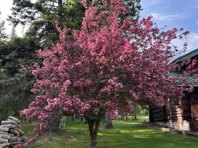 $439,900 | 3512 Ahola Road, Brimson, MN 55602