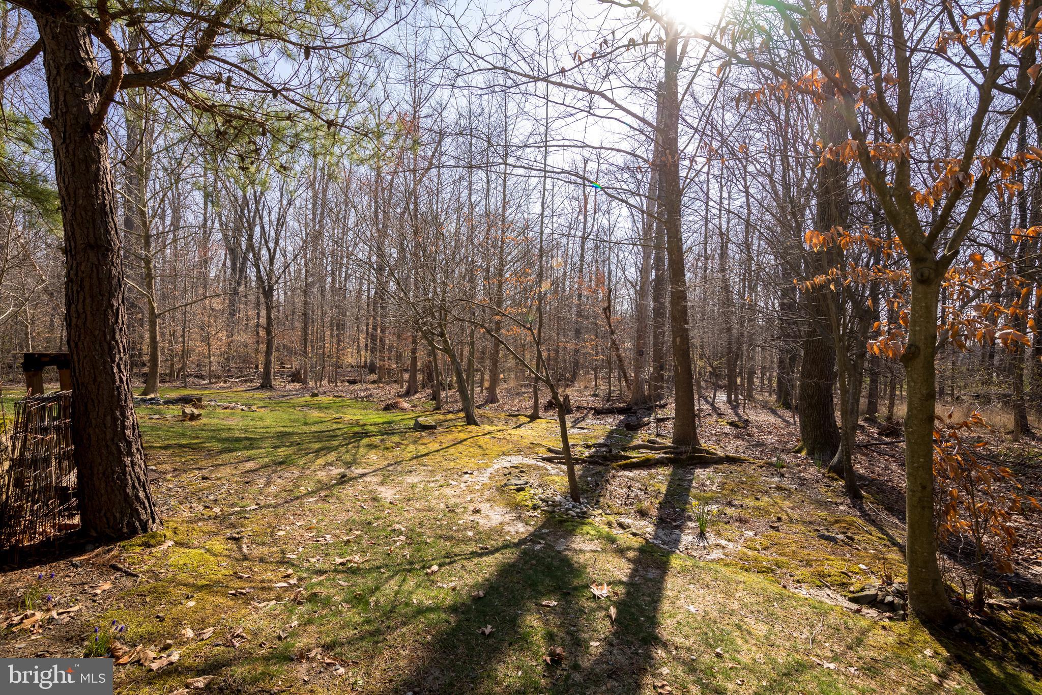 567 Beards Hill Road Aberdeen, MD 21001 - Photo 39 of 43 Wooded lot