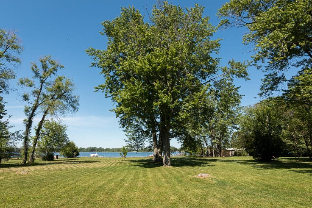 46580 86th Avenue, Unit WEST 1 ACRE PARCEL Decatur, MI 49045 - Photo 8 of 11 Vacant-10