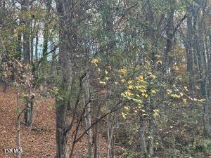 0 Greystone Road Greeneville, TN 37743 - Photo 5 of 10 Greystone 4.44 acres 7