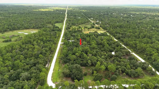 a view of a green yard with large trees