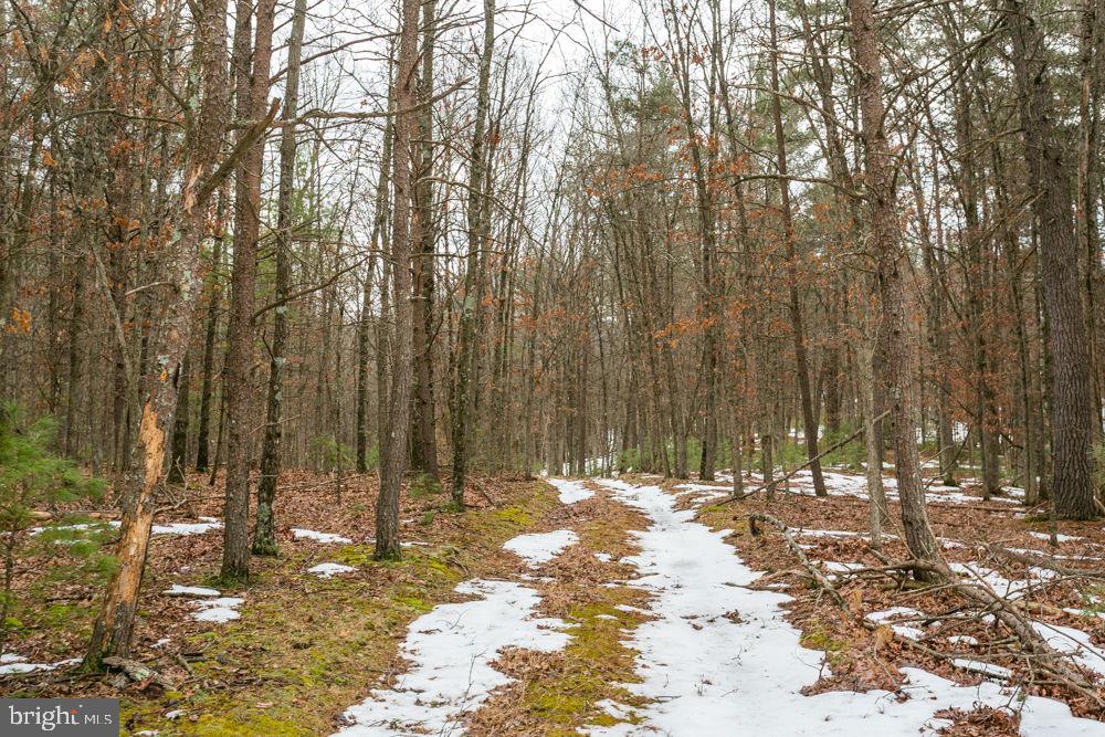 Lot 44 Rainbow Ridge Road Bergton, VA 22811 - Photo 5 of 7 Gallery Image 5