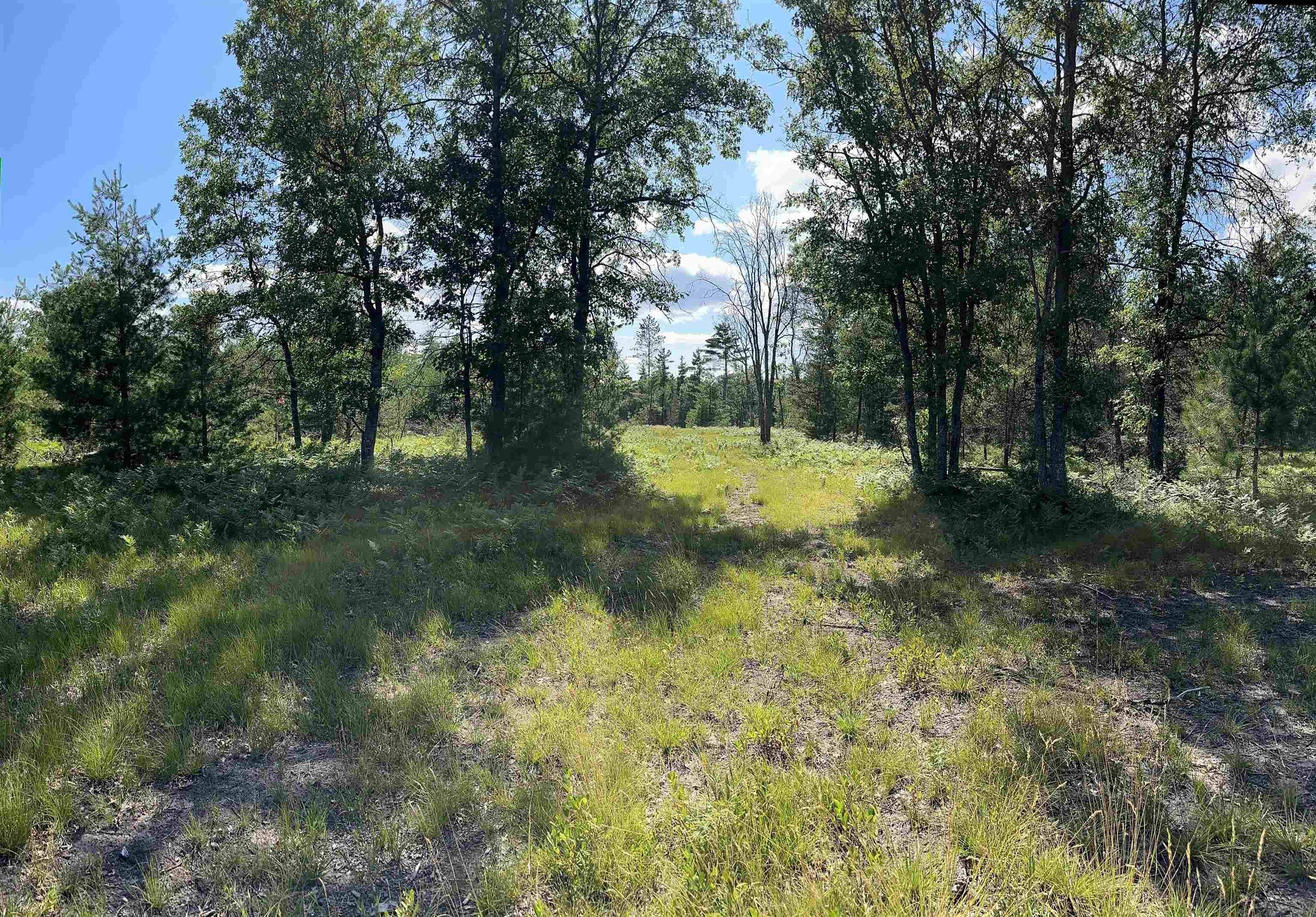 2095 Vaughn Road National City, MI 48748 - Photo 11 of 24 1948372-223d8383-66ce-48fe-87de-823dc8b8f10c.JPG