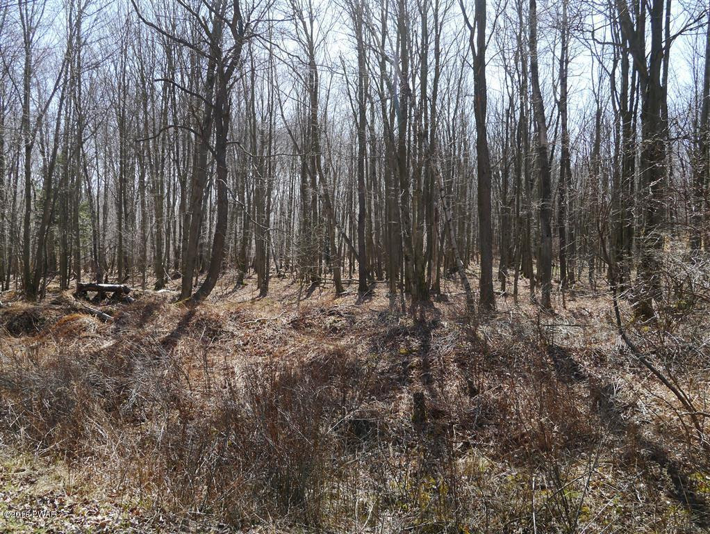 50 Poplar Road Pleasant Mount, PA 18453 - Photo 3 of 6