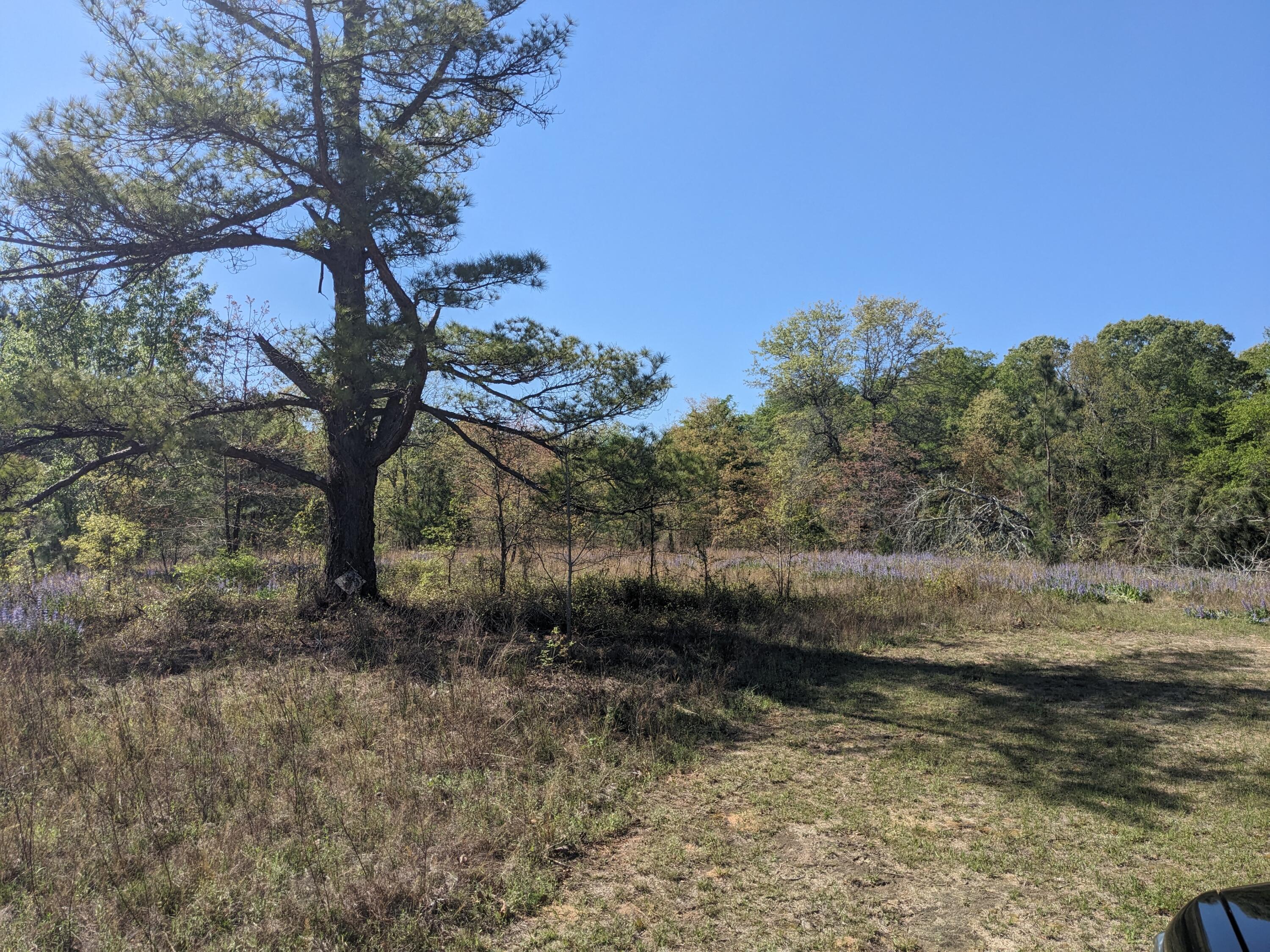 4781 Deans Bridge Road Blythe, GA 30805 - Photo 1 of 8 Front
