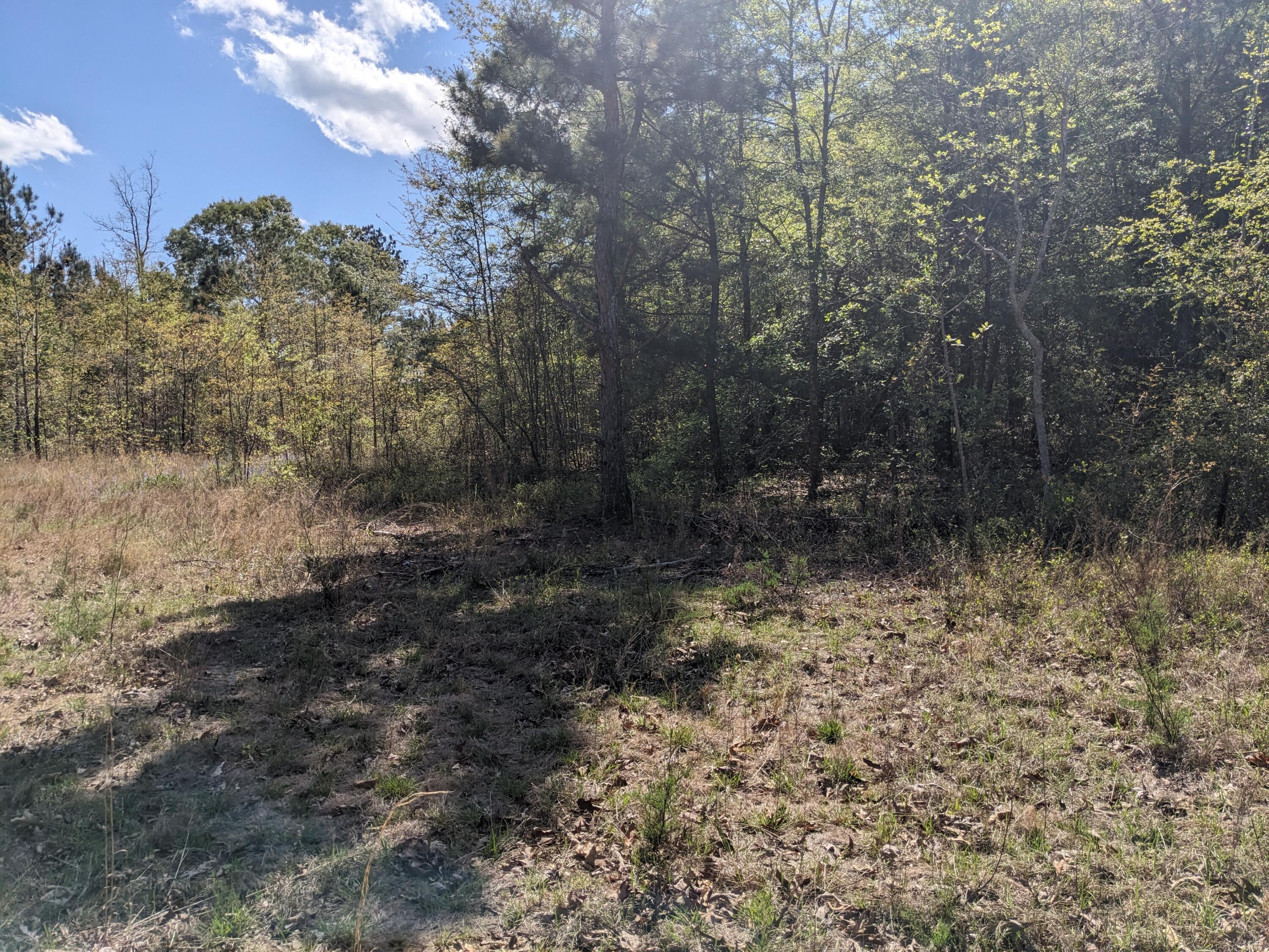 4781 Deans Bridge Road Blythe, GA 30805 - Photo 5 of 8 PXL_20240403_193800776.MP