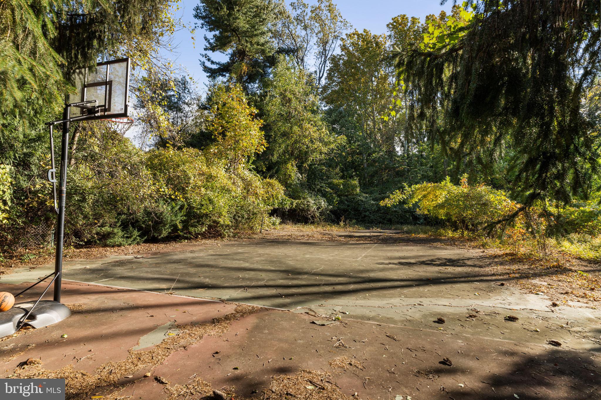 250 East Waverly Road Wyncote, PA 19095 - Photo 81 of 90