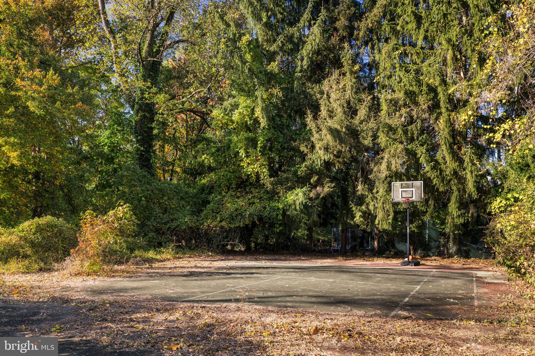 250 East Waverly Road Wyncote, PA 19095 - Photo 83 of 90