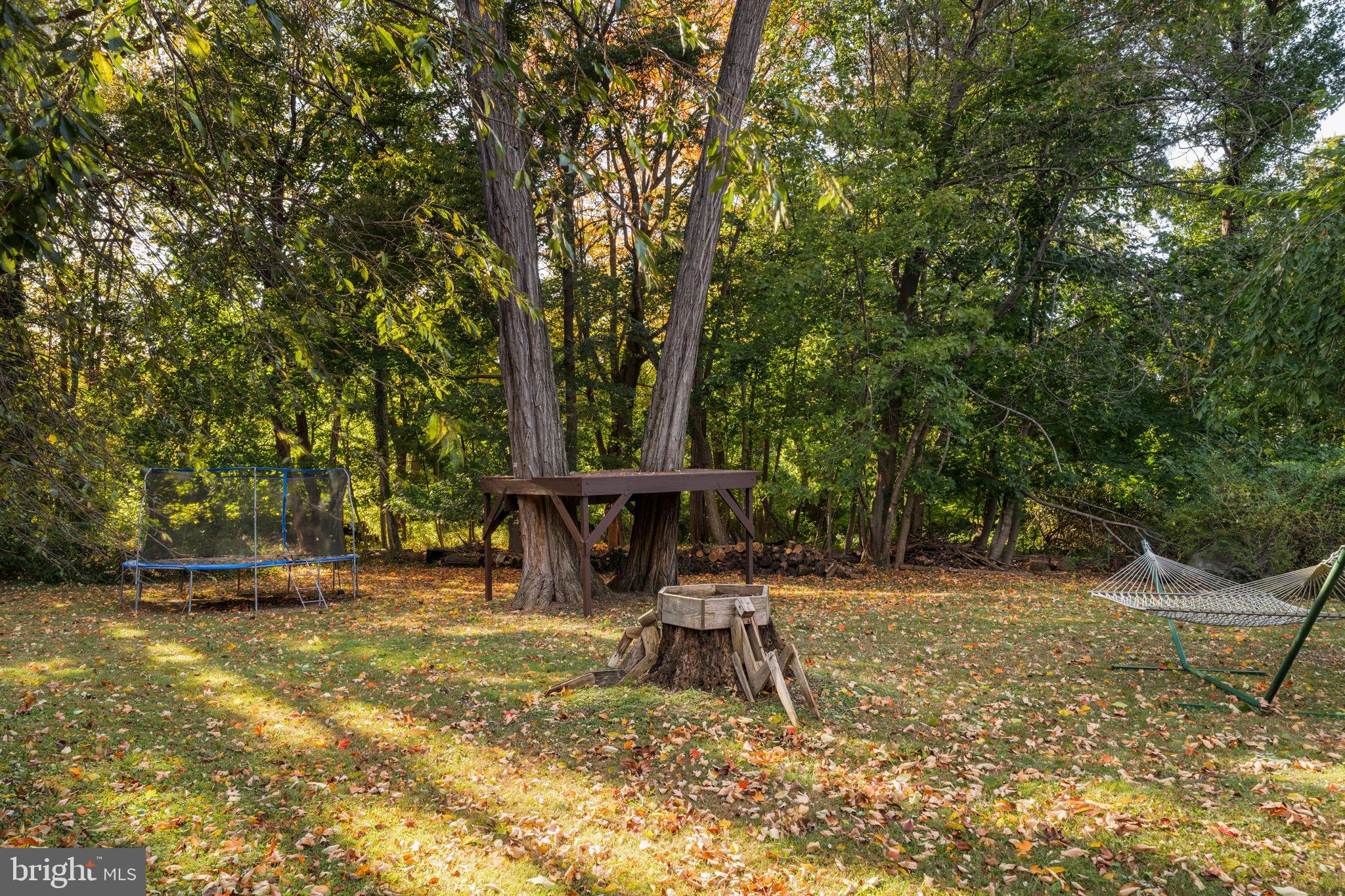 250 East Waverly Road Wyncote, PA 19095 - Photo 87 of 90