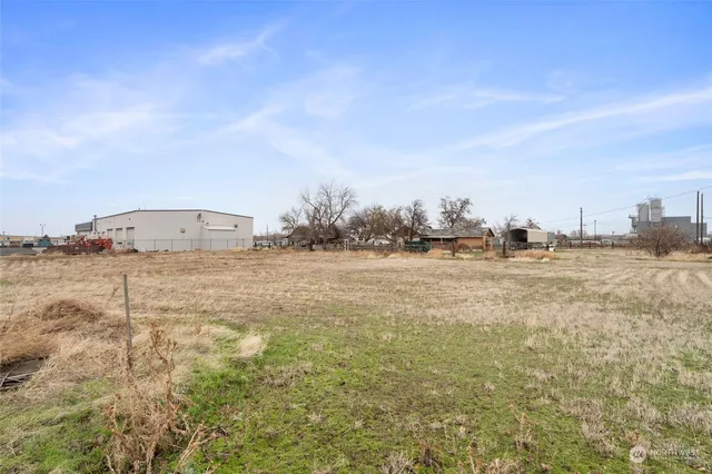 a view of a yard with large trees