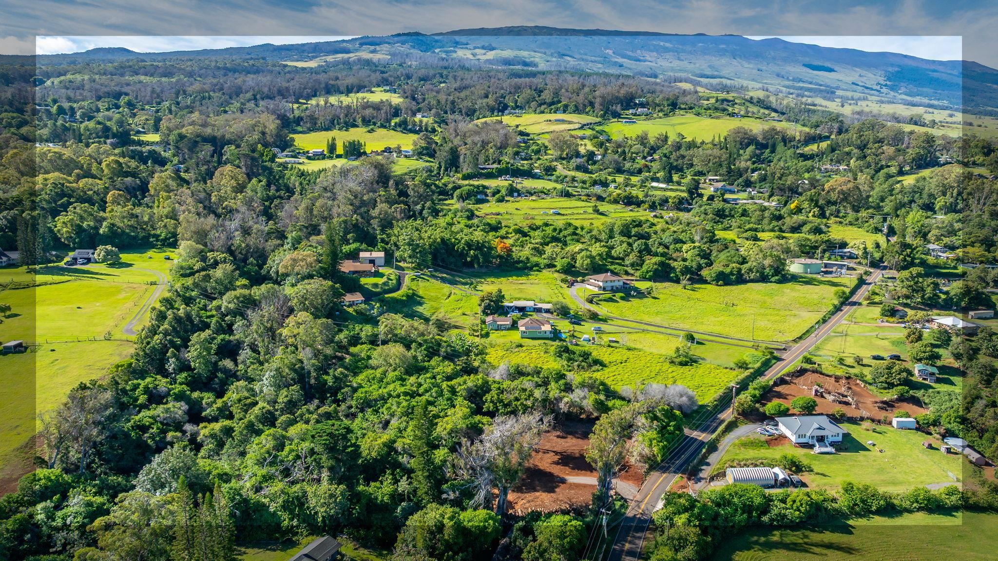 Olinda Road Makawao, HI 96768 - Photo 5 of 10 a view of a back yard