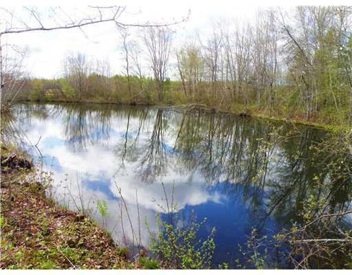 0 Flat & Berry Roads Alexander, ME 04694 - Photo 5 of 21 Land/Lot. A large farm pond between...