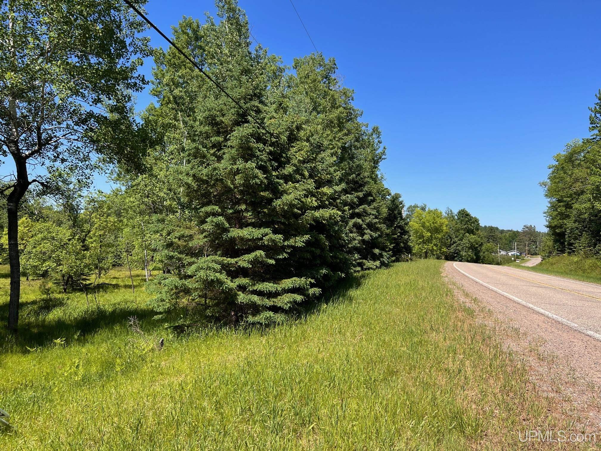 607 County 607 Road Iron Mountain, MI 49801 - Photo 1 of 4
