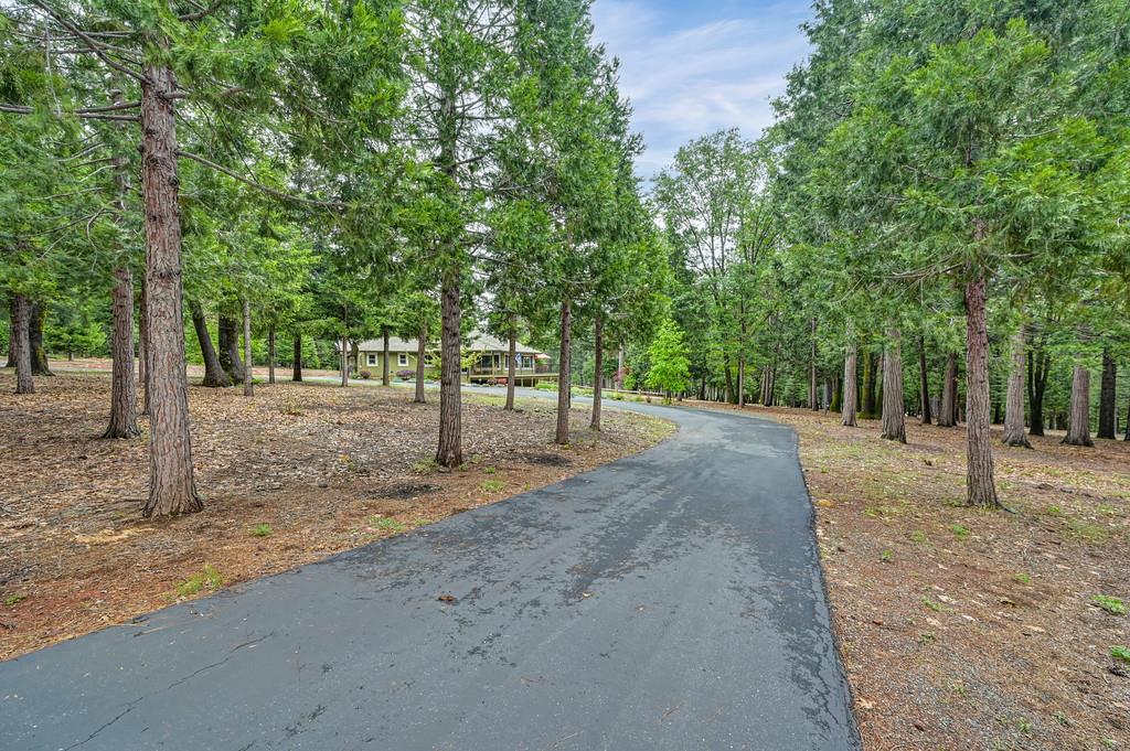29082 Ridge View Road Foresthill, CA 95631 - Photo 3 of 78