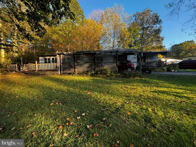 a view of a large garden with large trees
