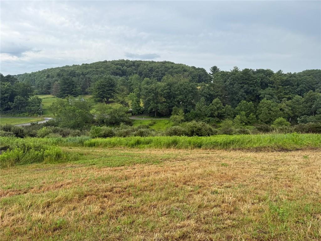 21.63-acres Along Route 536 & Harper Road Walston, PA 15767 - Photo 2 of 3