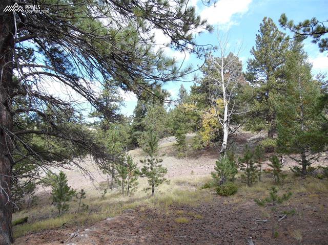 50 A Road Guffey, CO 80820 - Photo 23 of 24