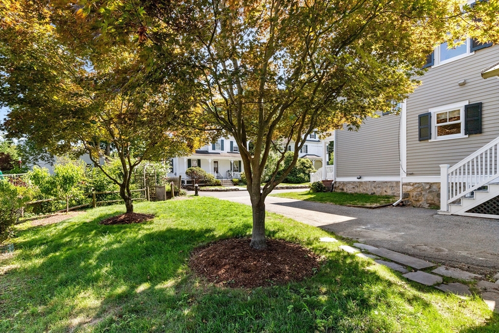 8 Jackson Court Lexington, MA 02421 - Photo 27 of 27 a view of a yard with plants and trees