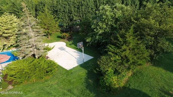 a view of a backyard with plants