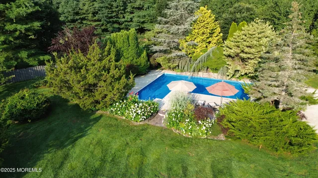 a view of backyard with plants and outdoor seating