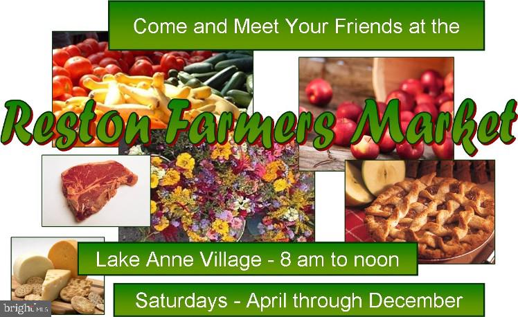 1716 Lake Shore Crest Drive, Unit 31 Reston, VA 20190 - Photo 45 of 46